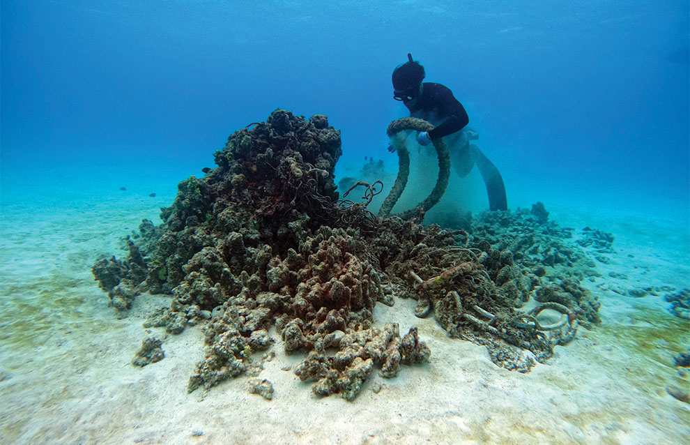 underwater shot of diver with brown net in vivid blue water.