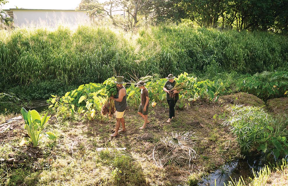 a group of people carrying plants