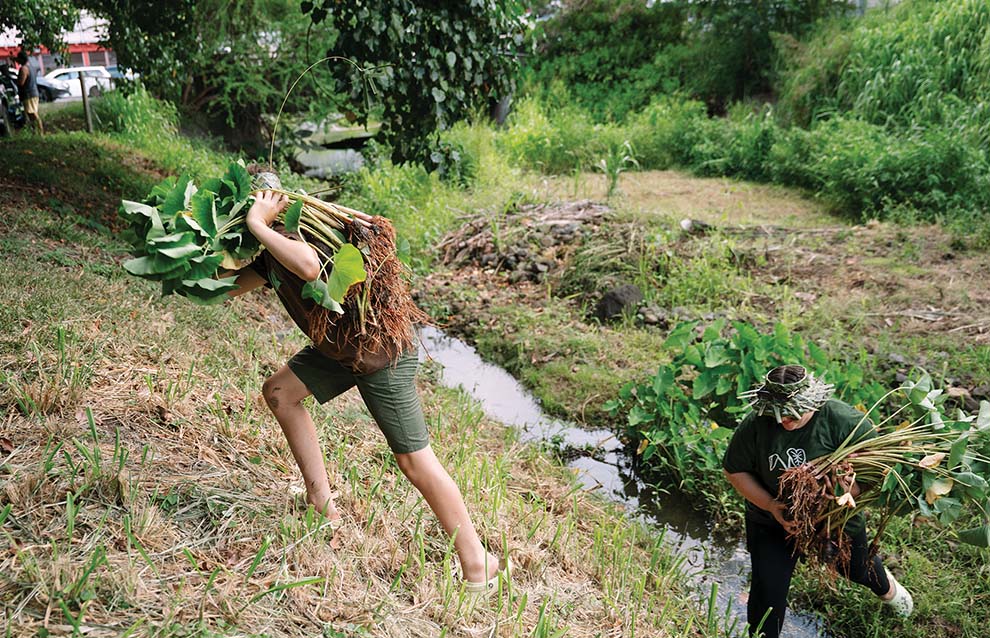 a group of people carrying plants