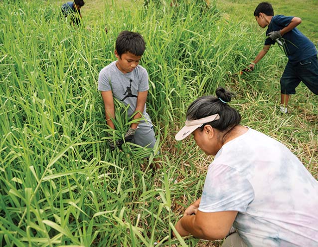 a group of people working in a field
