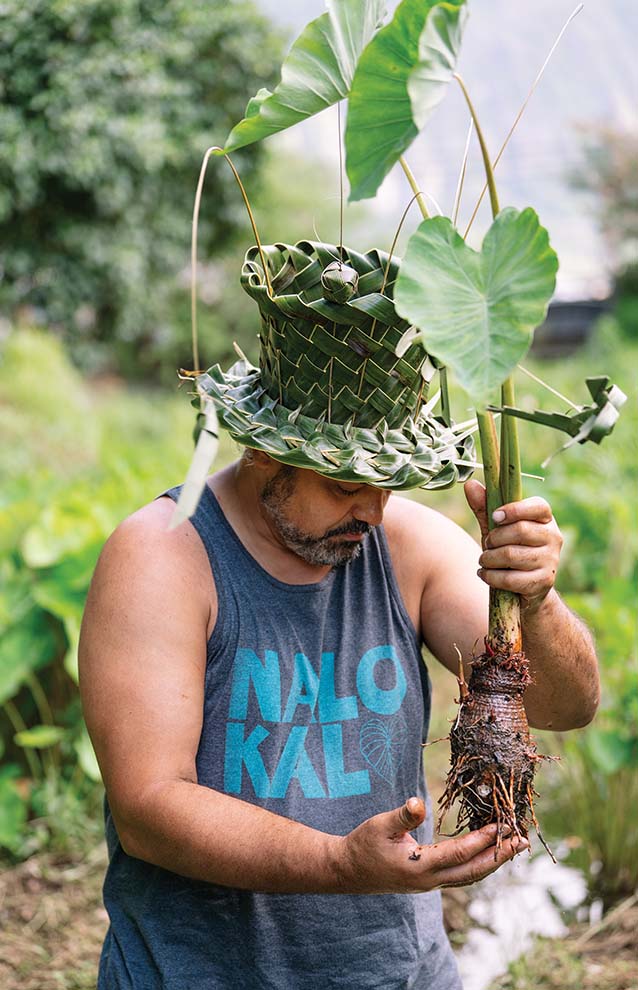 a person holding a plant
